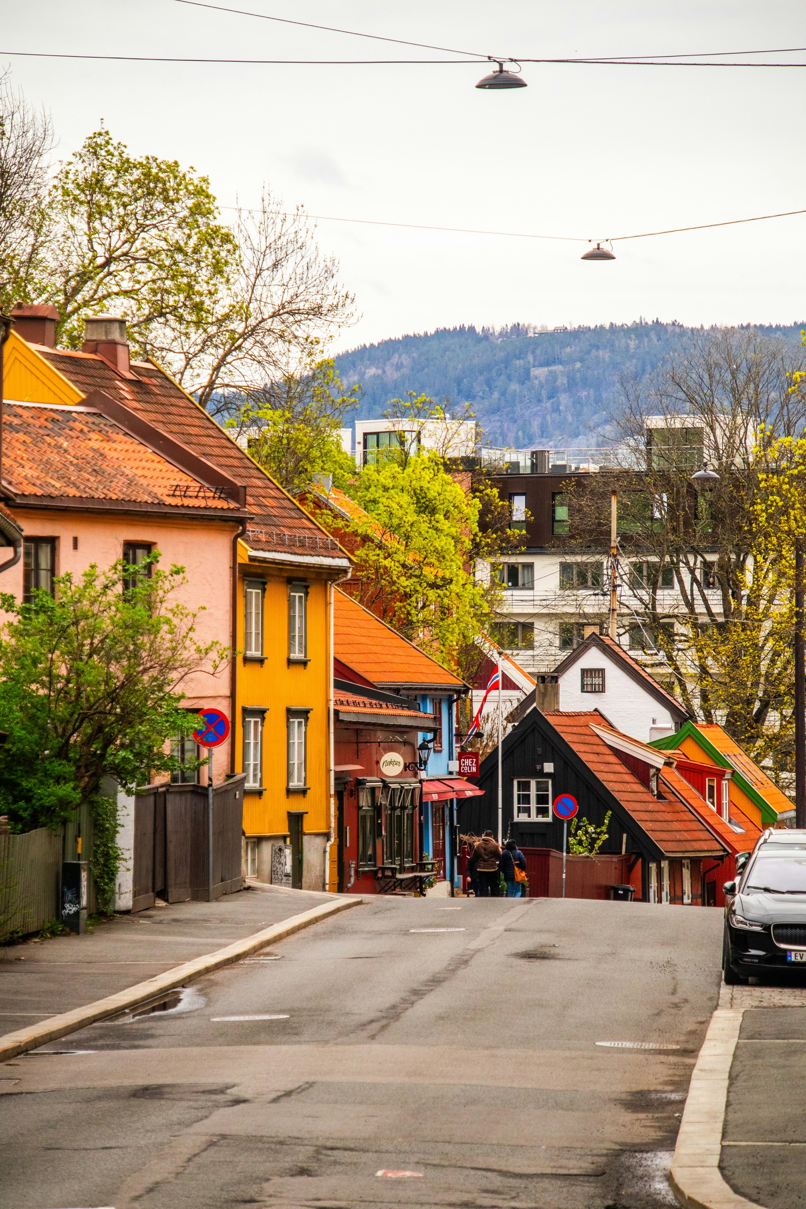 A lively street scene in one of Frankfurt's residential neighborhoods with outdoor cafes and tree-lined sidewalks